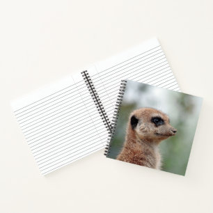 Meerkat 180 notebook