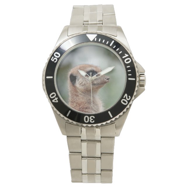 Meerkat 180 watch (Front)