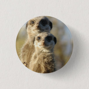 Meerkat 1 Inch Round Button