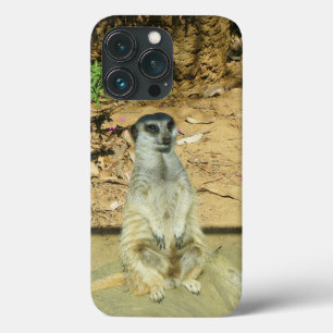 Meerkat #1 iPhone 13 Pro Coque