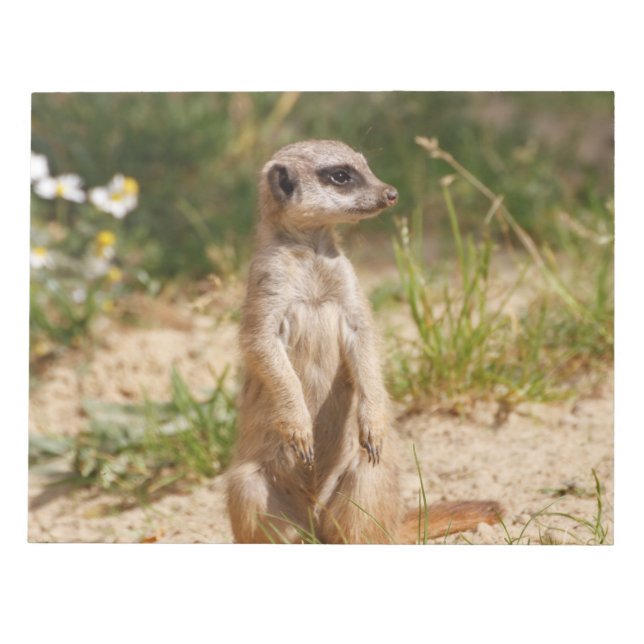 Meerkat 2014-0901 notepad (Front)