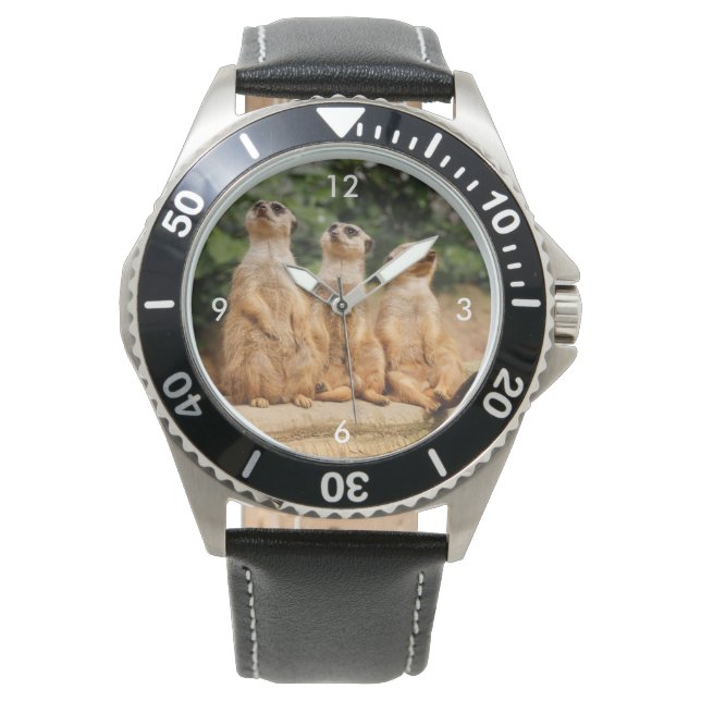 Meerkat_2015_0101 Watch (Front)