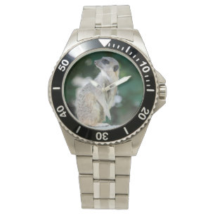 Meerkat_2015_0103 Watch