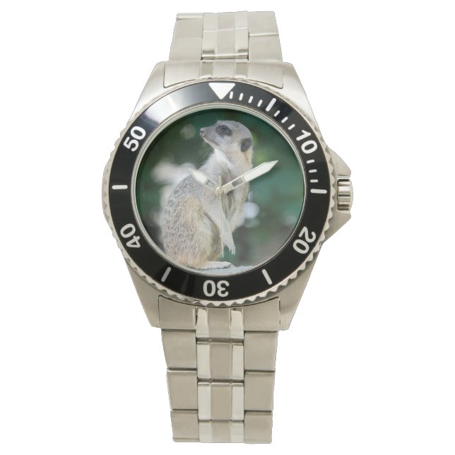 Meerkat_2015_0103 Watch (Front)