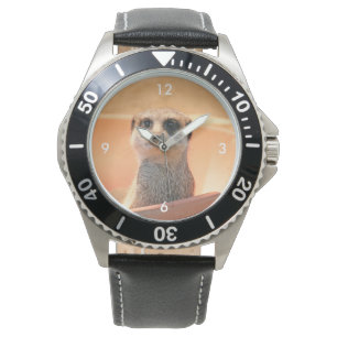 Meerkat_2015_0202 Watch