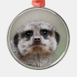 Meerkat_2015_0206 Metal Ornament