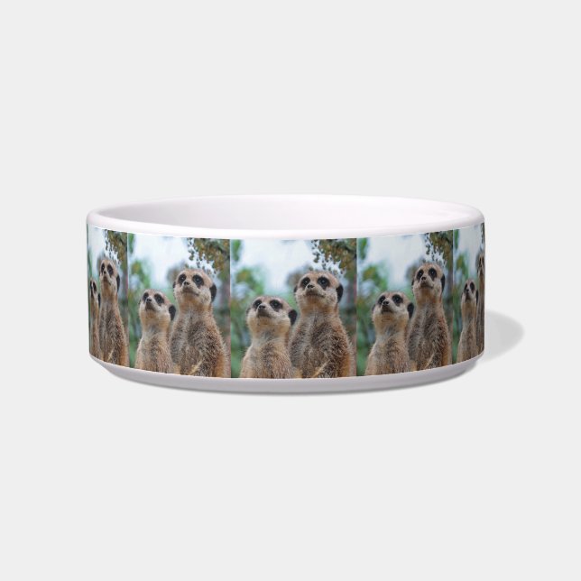 Meerkat_2015_0410 Bowl (Left)