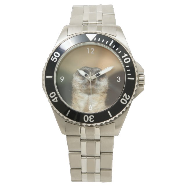 Meerkat_2015_0501 Watch (Front)
