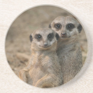 Meerkat_20170901_by_JAMFoto Coaster