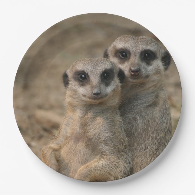 Meerkat_20170901_by_JAMFoto Paper Plate (Front)