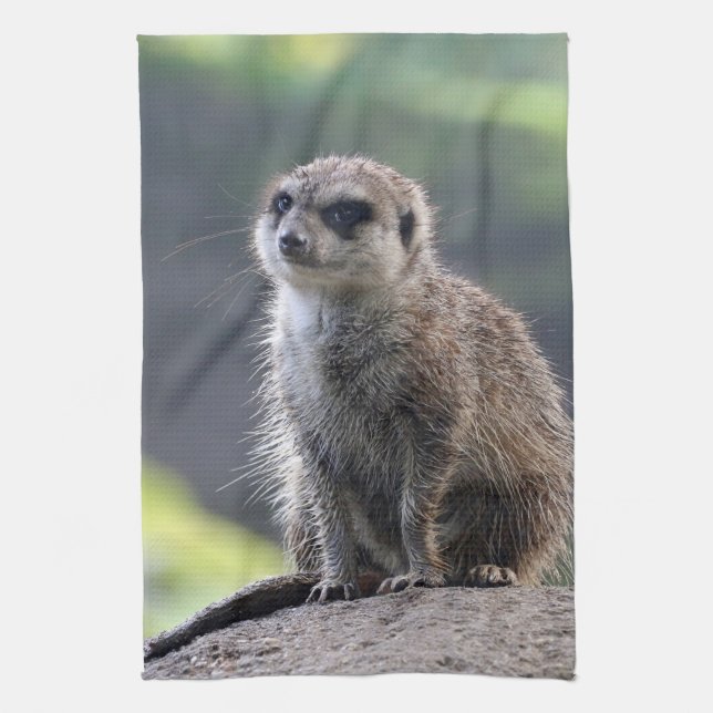 Meerkat_20171101_by_JAMFoto Kitchen Towel (Vertical)