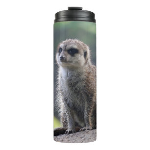 Meerkat_20171101_by_JAMFoto Thermal Tumbler