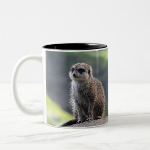 Meerkat_20171101_by_JAMFoto Two-Tone Coffee Mug