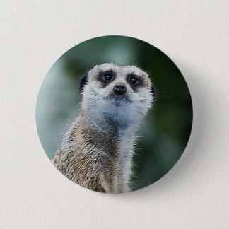 Meerkat 2 Inch Round Button