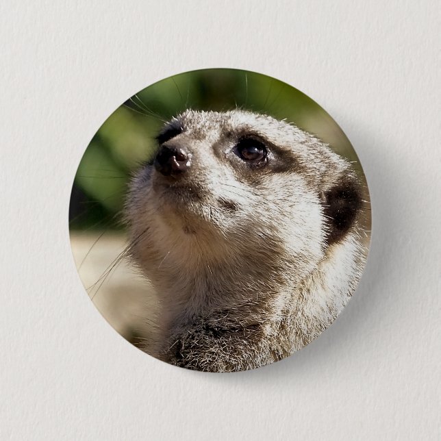 MEERKAT 2 INCH ROUND BUTTON (Front)