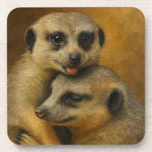 Meerkat Affection Coaster
