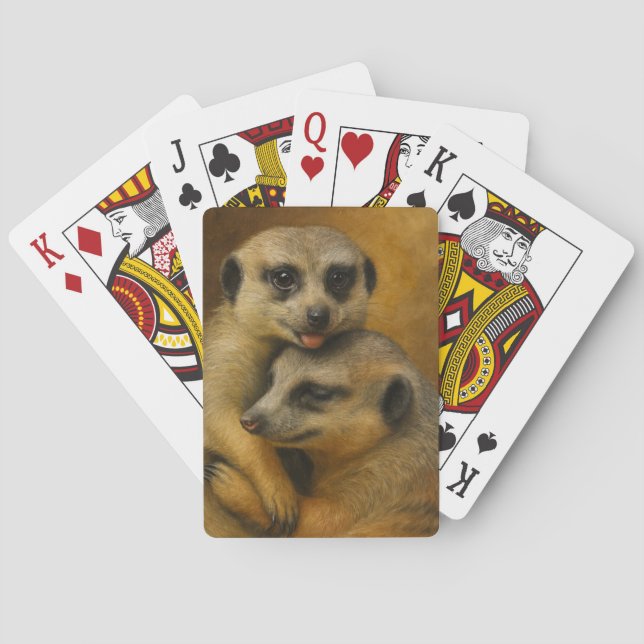 Meerkat Affection Playing Cards (Back)