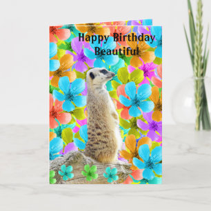 Meerkat And Blossoms Birthday Card, Holiday Card