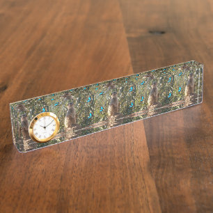 Meerkat And Blue Butterflies, Nameplate