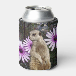 Meerkat And Daisies, Can Cooler