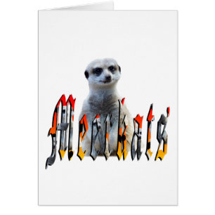 Meerkat And Meerkats Picture Logo,