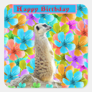 Meerkat And Multi Coloured Blossom Birthday Design Square Sticker