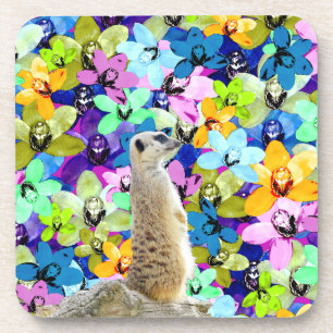 Meerkat And Watercolor Orchids, Coaster