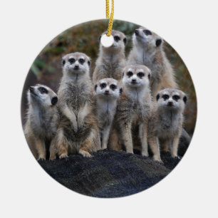 Meerkat Animal Safari Africa Cute Suricate Ceramic Ornament