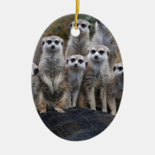 Meerkat Animal Safari Africa Cute Suricate Ceramic Ornament