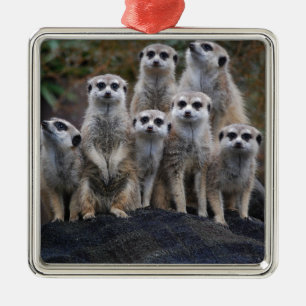 Meerkat Animal Safari Africa Cute Suricate Metal Ornament