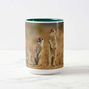 Meerkat Animal Safari Africa Cute Suricate Two-Tone Coffee Mug