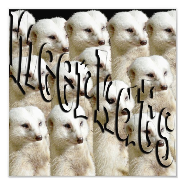 Meerkat Army Logo, Photo Print (Front)