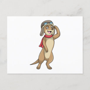 Meerkat as Pilot with Pilot hat Postcard