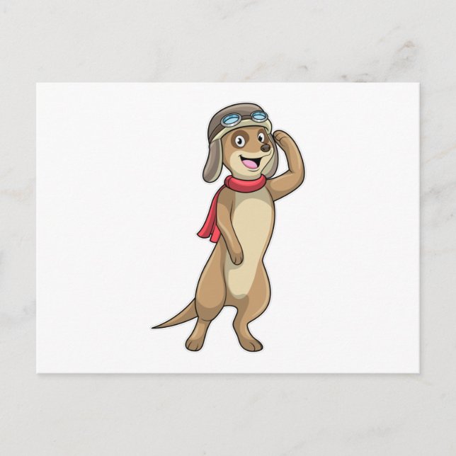 Meerkat as Pilot with Pilot hat Postcard (Front)