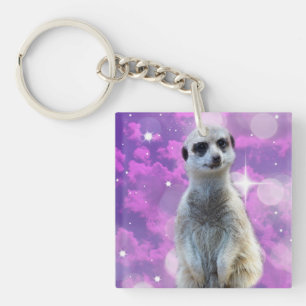 Meerkat Avec Éperche Rose,