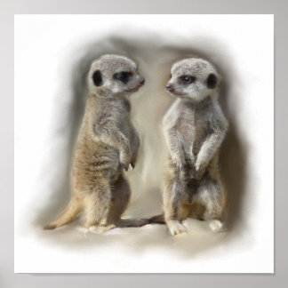 Meerkat baby twins poster