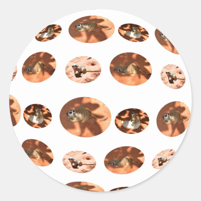 Meerkat Ball Shape, Round Sticker (Front)