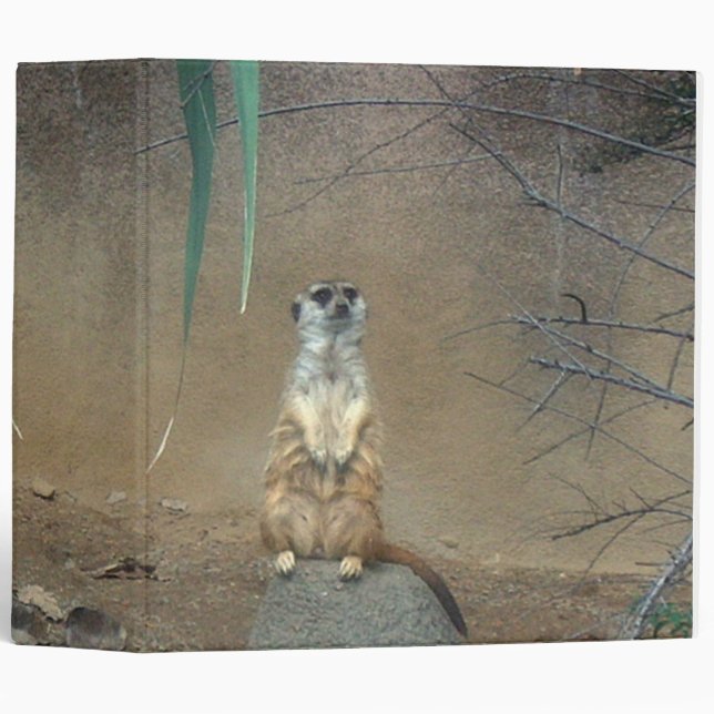 Meerkat Binder (Front/Spine)