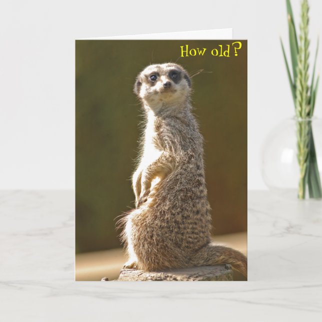 Meerkat Birthday Card -How old? (Front)