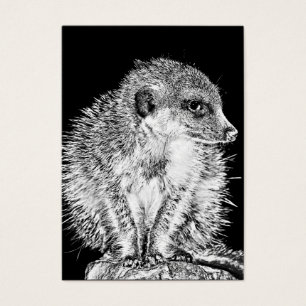 Meerkat, Black and White