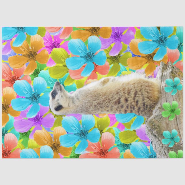 Meerkat Blossoms,  Tissue Paper (Front)