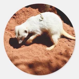 Meerkat Bug Eliminator, Round Stickers
