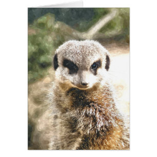 MEERKAT Card