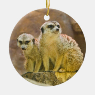 meerkat ceramic ornament