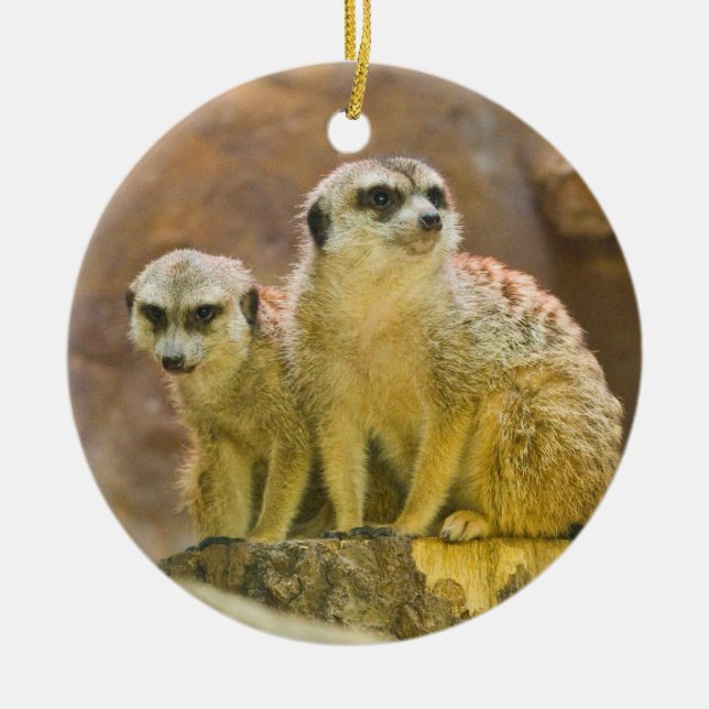 meerkat ceramic ornament (Front)