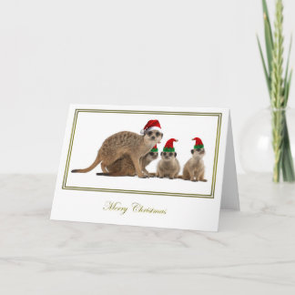 Meerkat Christmas 3 Holiday Card