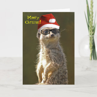 Meerkat Christmas Card
