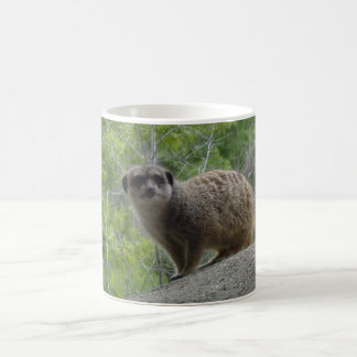 Meerkat Coffee Mug