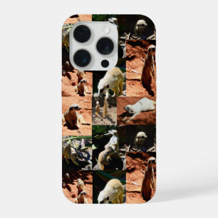 Meerkat Collection Photo Collage, iPhone 15 Pro Case