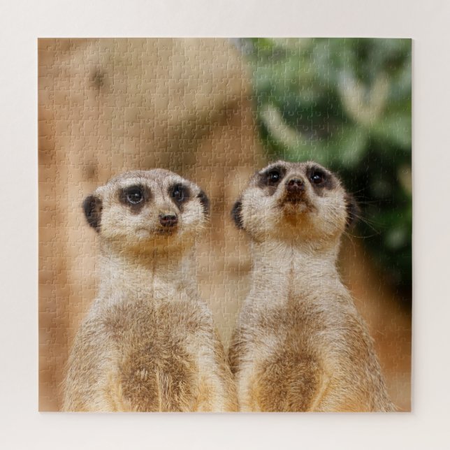Meerkat Couple 003 Jigsaw Puzzle (Vertical)